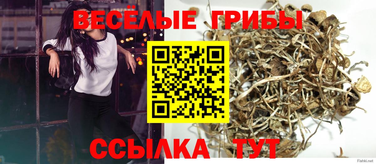 Галлюциногенные грибы MAGIC MUSHROOMS  Вход с VPN  Евпатория 